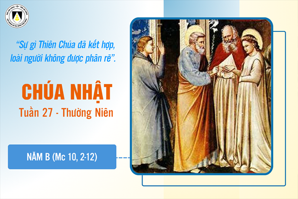 Suy niệm Tin mừng Chúa Nhật tuần XXVII - Thường Niên năm B (Mc 10, 2-12)