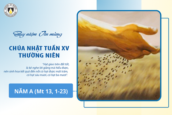 Suy niệm Tin mừng Chúa Nhật tuần XV - Thường Niên năm A (Mt 13, 1-23)