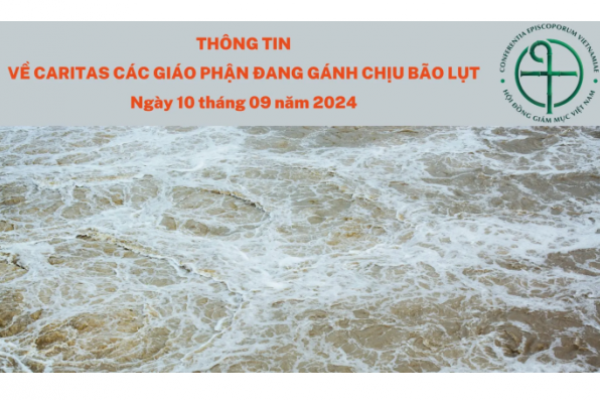 Thông tin về Caritas các giáo phận đang gánh chịu bão lụt