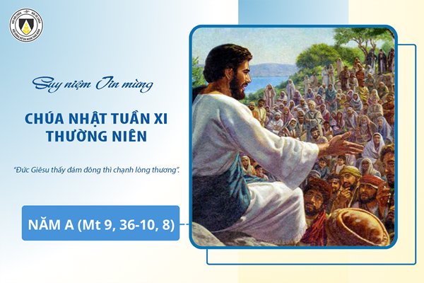 Suy niệm Tin mừng Chúa Nhật tuần XI - Thương Niên năm A (Mt 9, 36-10, 8)