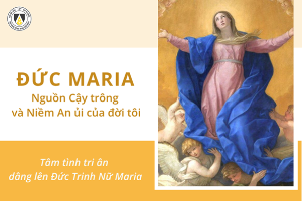 Đức Maria: Nguồn Cậy trông và Niềm An ủi của đời tôi