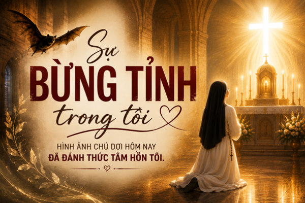 Sự bừng tỉnh trong tôi