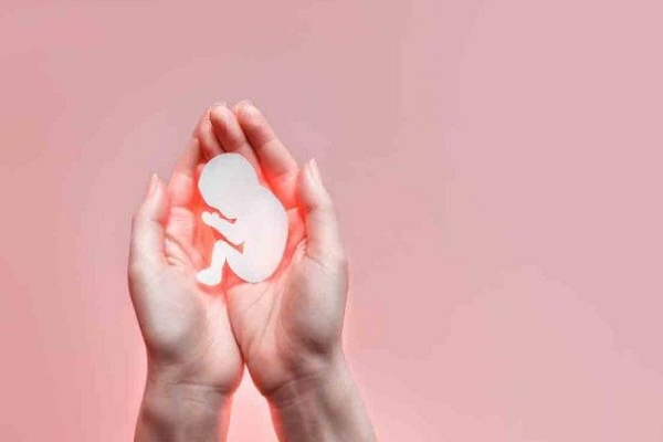 Các Giám mục Chile phản đối ý định của chính phủ hợp pháp hóa phá thai