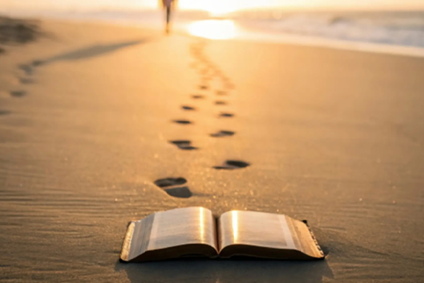 Chúng ta đang sống, hay chỉ đang tồn tại?