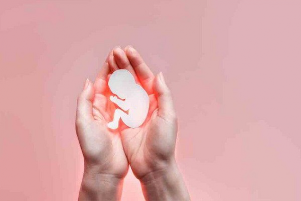 ĐHY Parolin: cuộc bỏ phiếu cho phá thai ở Châu Âu là một “cuộc tấn công triệt để” vào sự sống